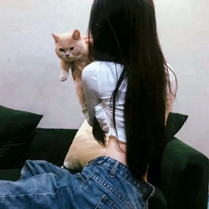 迷粉爱墙